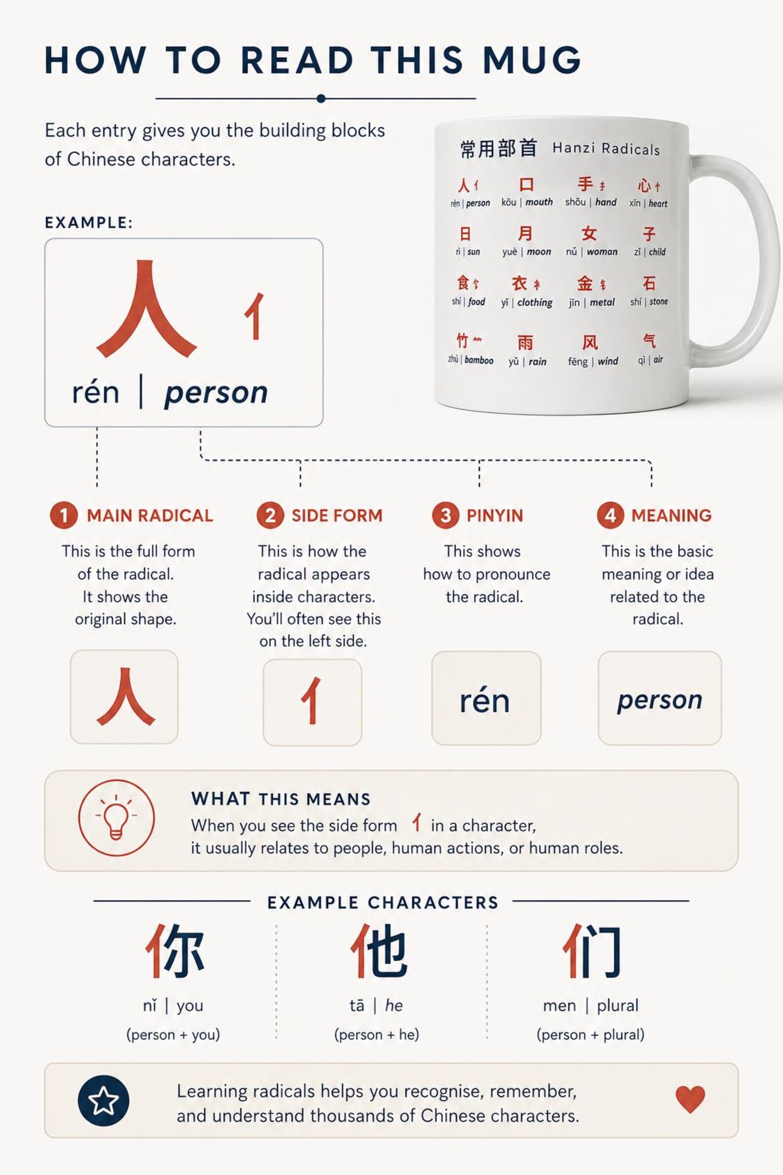 2 Mugs: Chinese Radicals Set | Mandarin Radicals I & II | 80 Essential Mandarin Radicals | Learn Chinese Characters | Educational Mug Gift