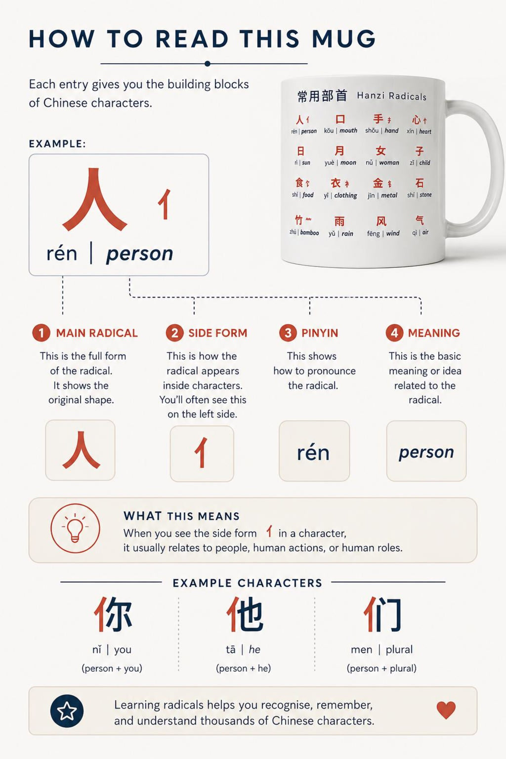Chinese Radicals II Mug | Intermediate Mandarin Radicals | Learn Mandarin Characters | Language Learning Gift | Hanzi Educational Mug