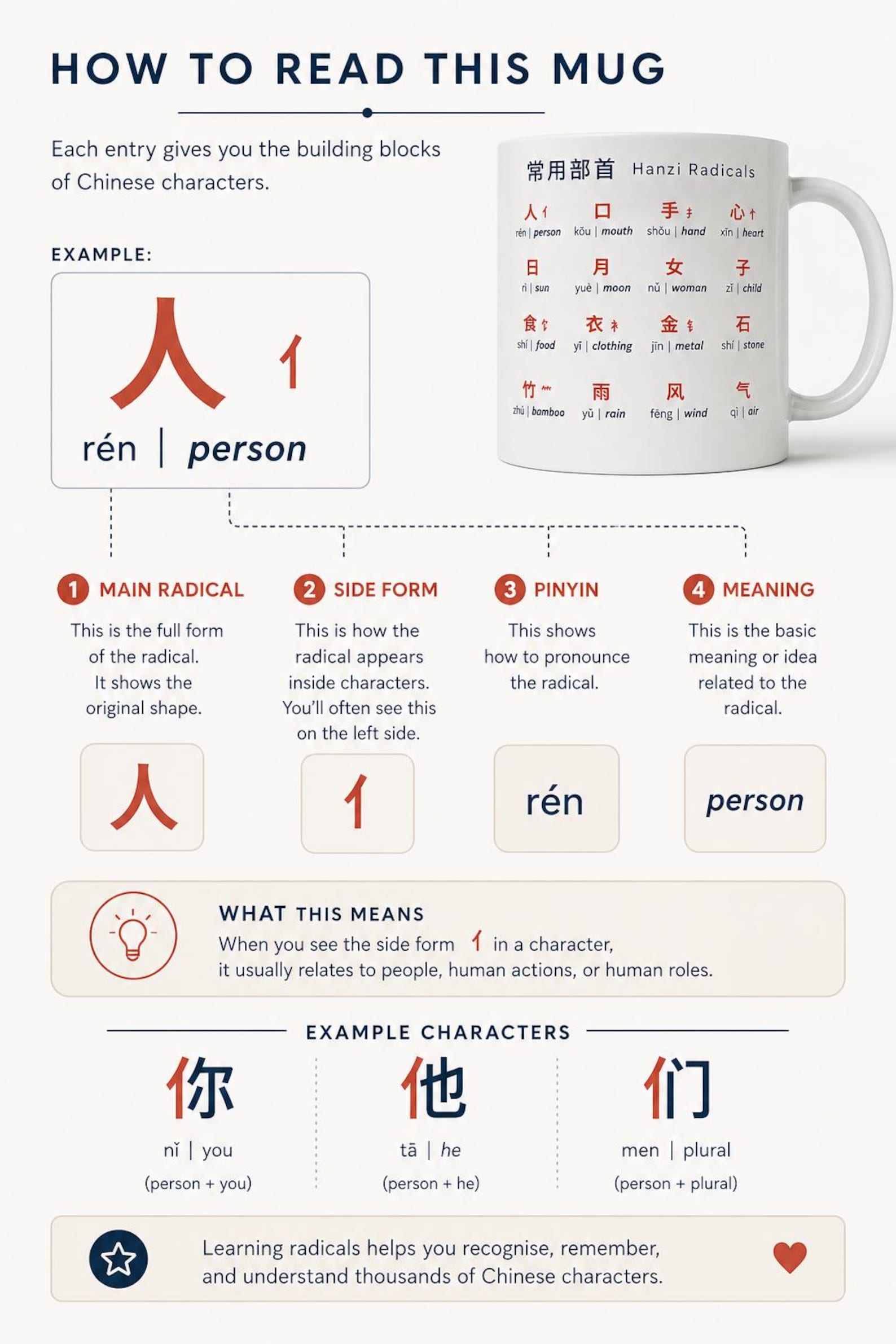 Chinese Radicals II Mug | Intermediate Mandarin Radicals | Learn Mandarin Characters | Language Learning Gift | Hanzi Educational Mug