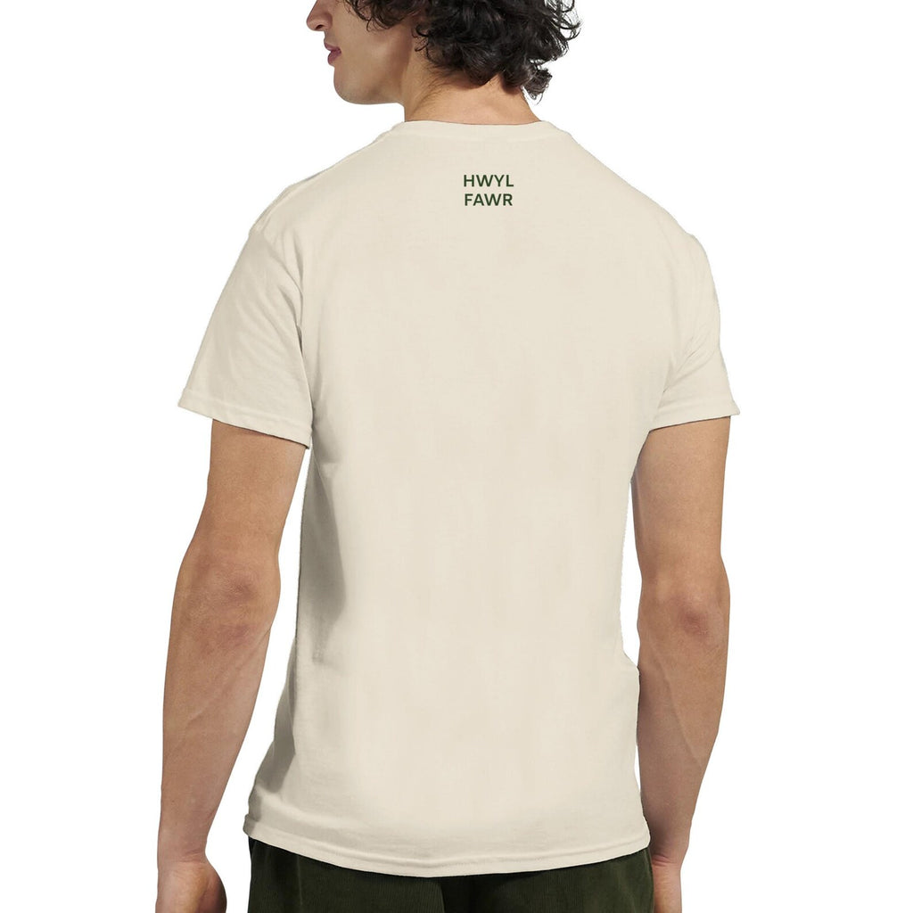 Welsh Shwmae Hwyl Fawr T Shirt | Learn Welsh Gift | Cymru Language Tee | Welsh Teacher Gift | Minimalist Unisex T-Shirt
