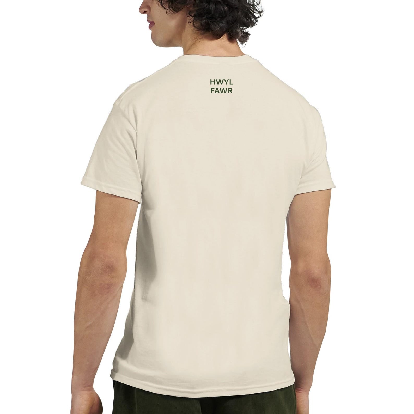 Welsh Shwmae Hwyl Fawr T Shirt | Learn Welsh Gift | Cymru Language Tee | Welsh Teacher Gift | Minimalist Unisex T-Shirt
