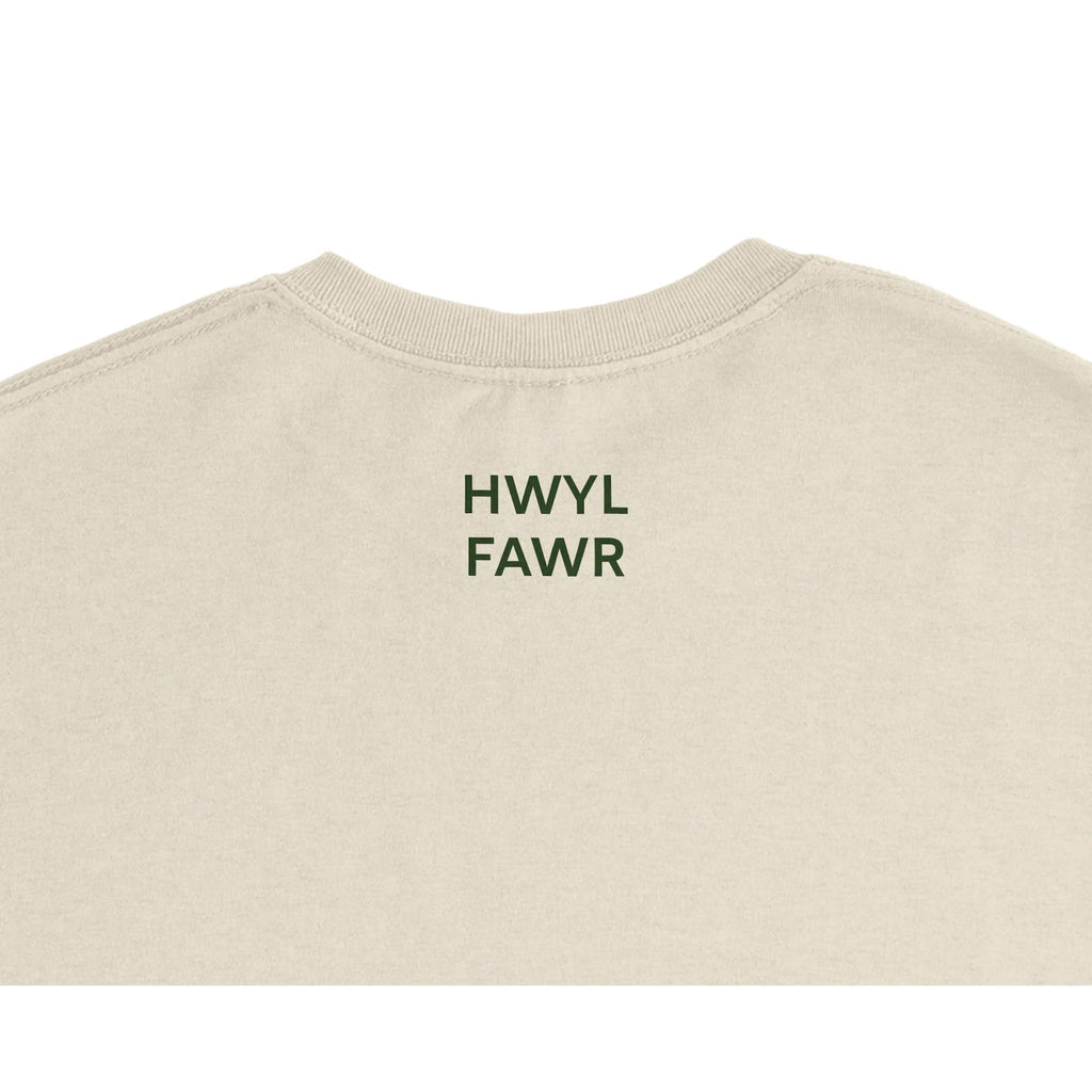 Welsh Shwmae Hwyl Fawr T Shirt | Learn Welsh Gift | Cymru Language Tee | Welsh Teacher Gift | Minimalist Unisex T-Shirt