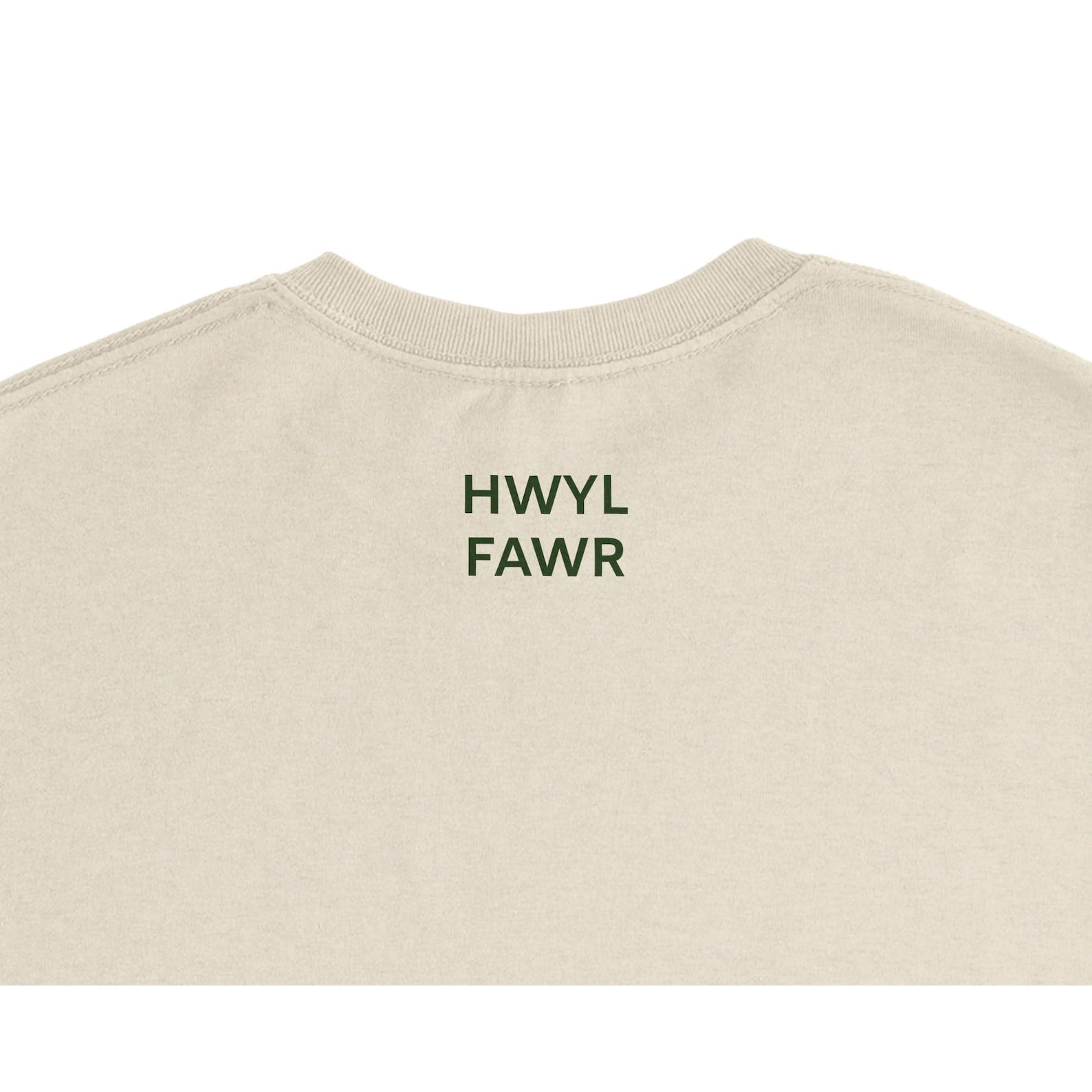 Welsh Shwmae Hwyl Fawr T Shirt | Learn Welsh Gift | Cymru Language Tee | Welsh Teacher Gift | Minimalist Unisex T-Shirt
