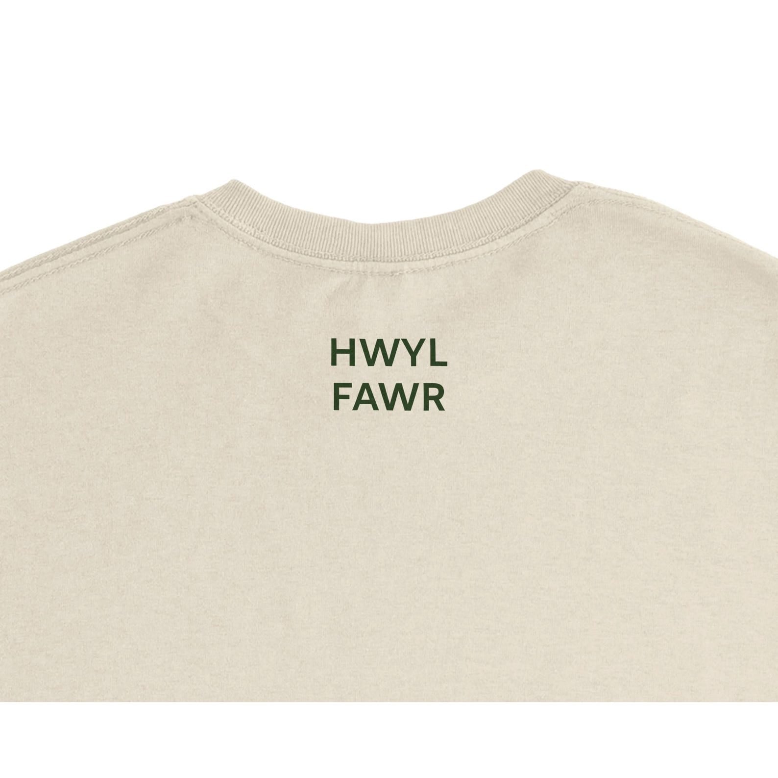 Welsh Shwmae Hwyl Fawr T Shirt | Learn Welsh Gift | Cymru Language Tee | Welsh Teacher Gift | Minimalist Unisex T-Shirt
