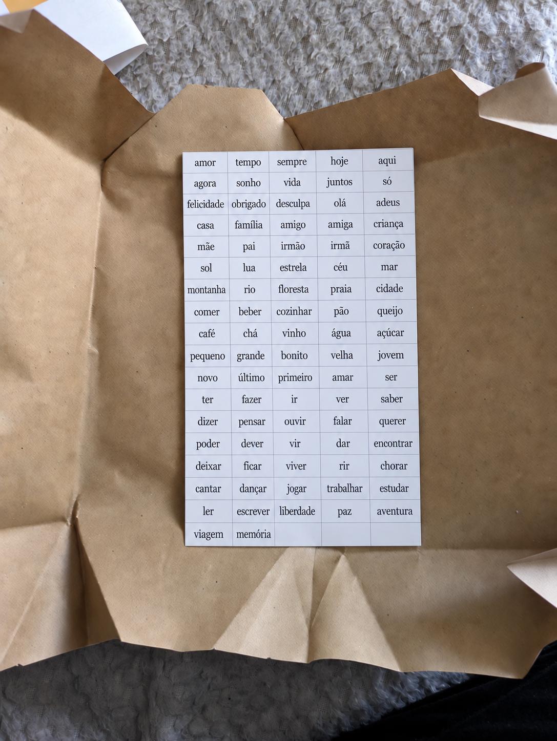 Portuguese Magnetic Poetry