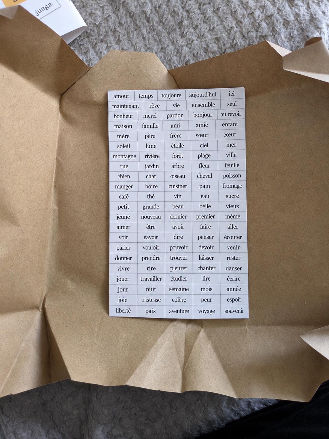 French Magnetic Poetry