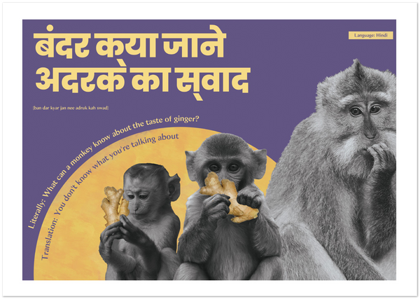 Hindi Idiom Poster - What can a monkey know about the taste of ginger