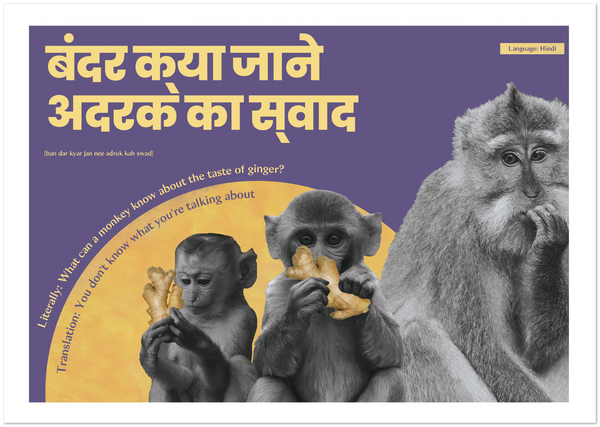 Hindi Idiom Poster - What can a monkey know about the taste of ginger